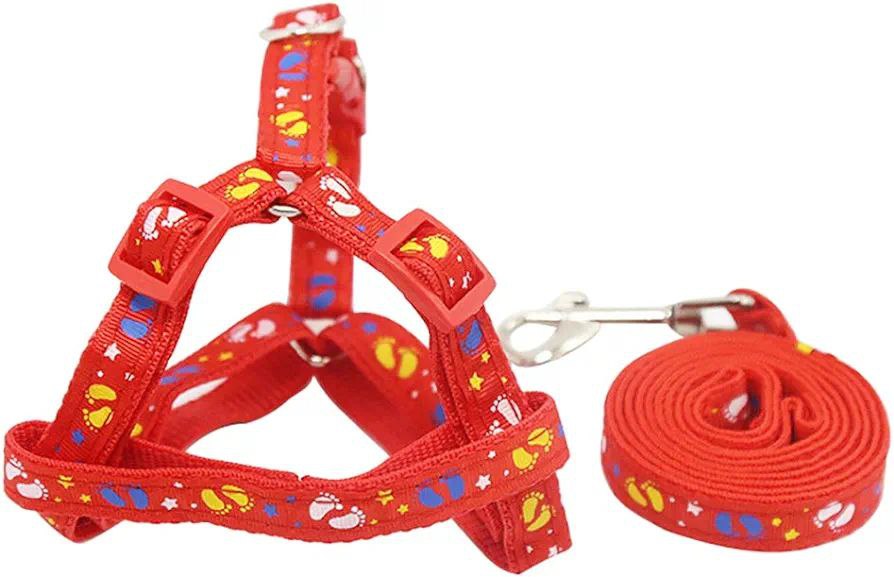 Correa de paseo para tu Mascota