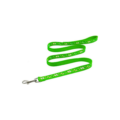 Correa de paseo para tu Mascota