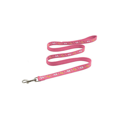 Correa de paseo para tu Mascota