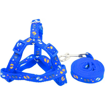 Correa de paseo para tu Mascota