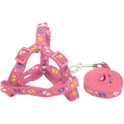 Correa de paseo para tu Mascota