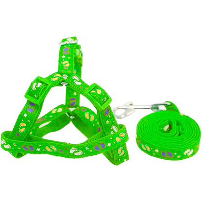 Correa de paseo para tu Mascota