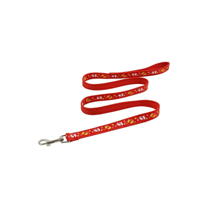 Correa de paseo para tu Mascota